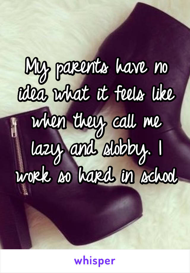 My parents have no idea what it feels like when they call me lazy and slobby. I work so hard in school 