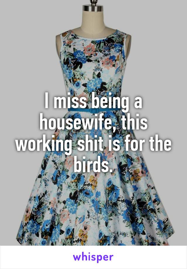 I miss being a housewife, this working shit is for the birds.