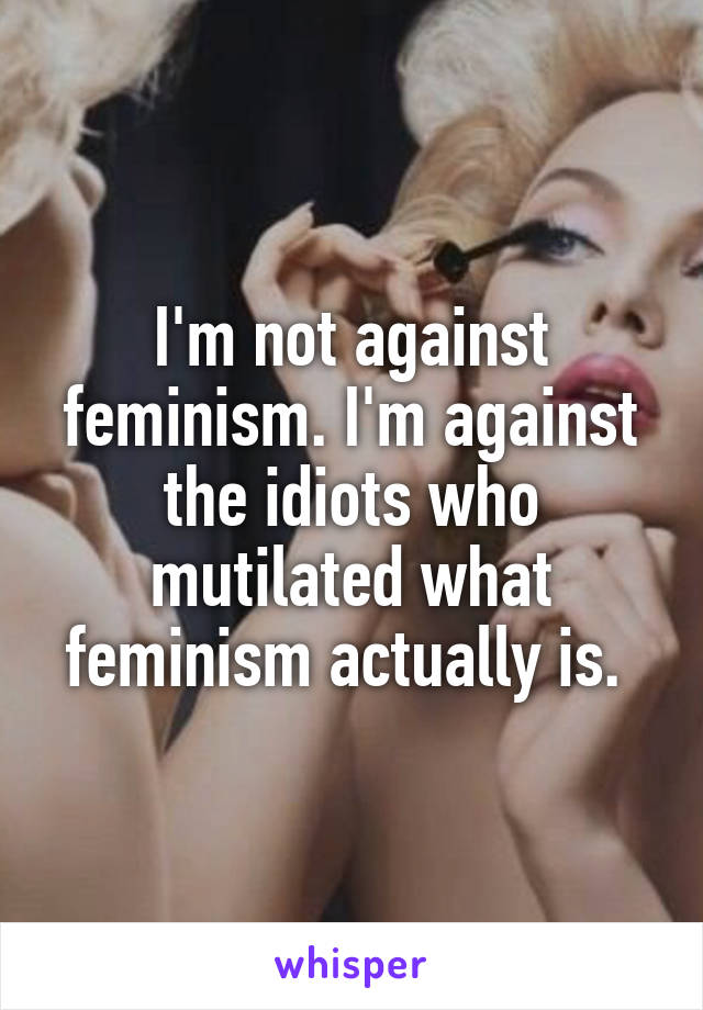 I'm not against feminism. I'm against the idiots who mutilated what feminism actually is. 
