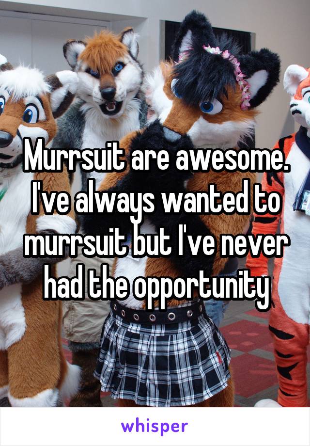 Murrsuits