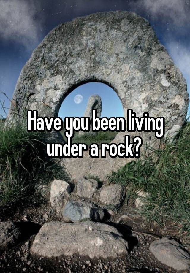 have-you-been-living-under-a-rock