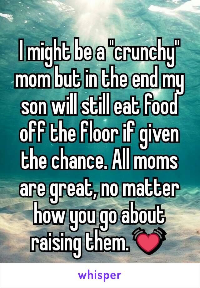 I might be a "crunchy" mom but in the end my son will still eat food off the floor if given the chance. All moms are great, no matter how you go about raising them. 💓 