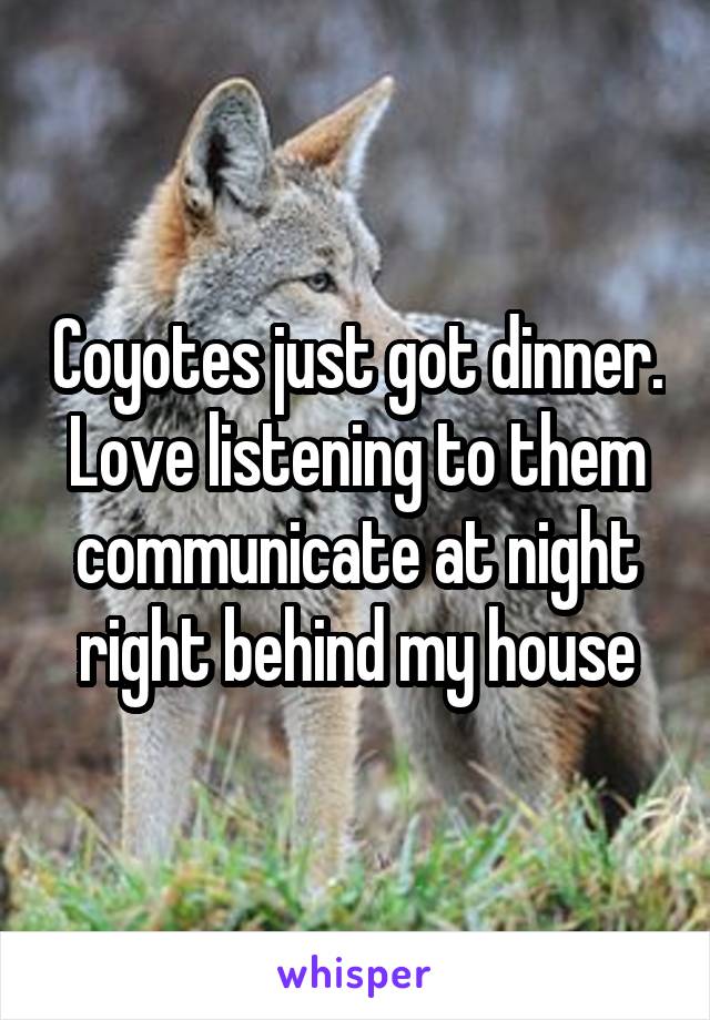 Coyotes just got dinner. Love listening to them communicate at night right behind my house