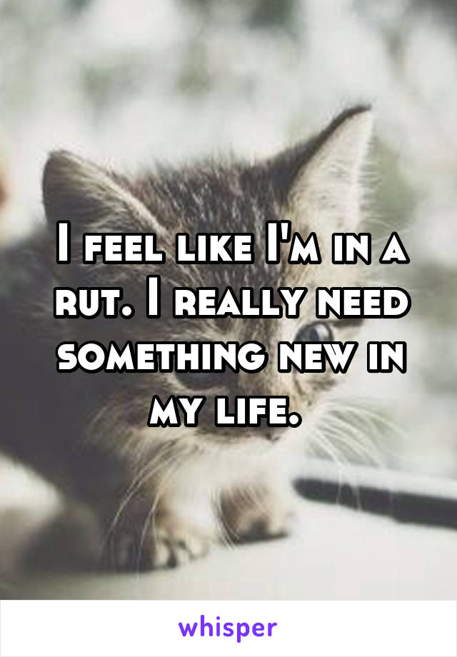 I feel like I'm in a rut. I really need something new in my life. 