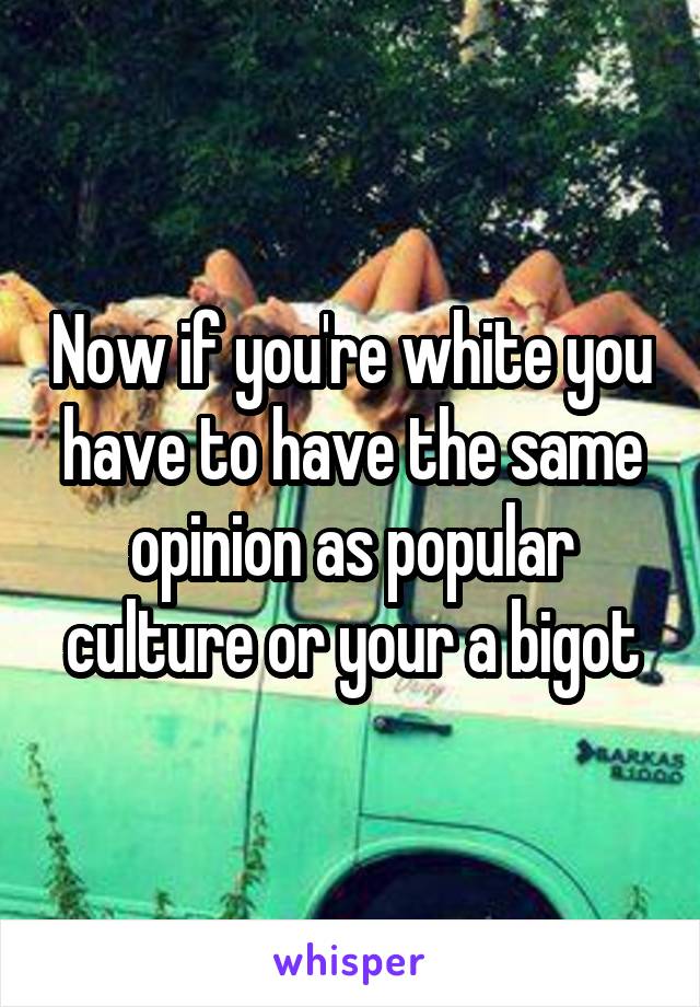 Now if you're white you have to have the same opinion as popular culture or your a bigot