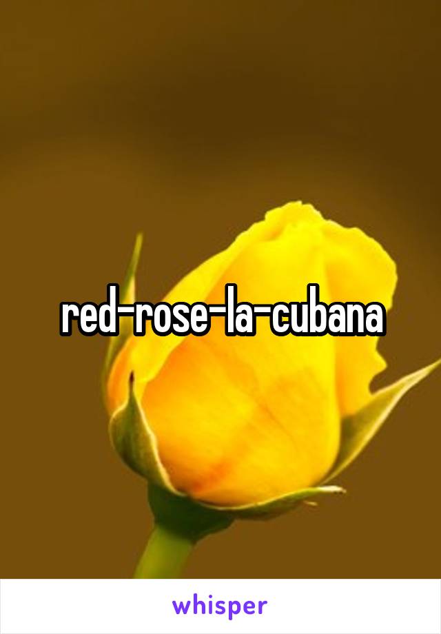 Red rose cubana