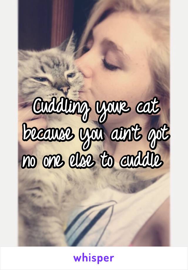 Cuddling your cat because you ain't got no one else to cuddle 