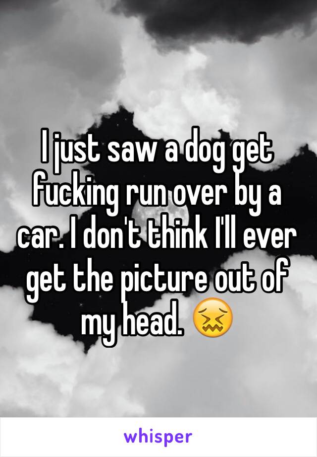 I just saw a dog get fucking run over by a car. I don't think I'll ever get the picture out of my head. 😖