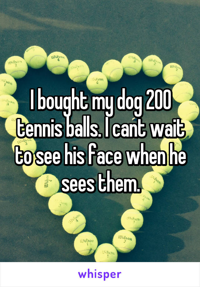 I bought my dog 200 tennis balls. I cant wait to see his face when he sees them.