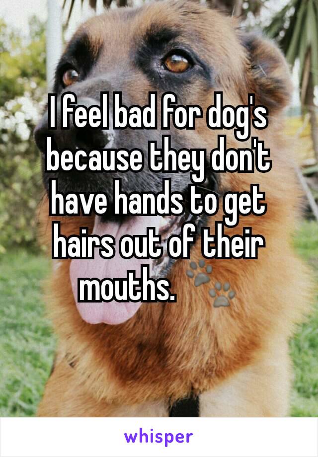 I feel bad for dog's because they don't have hands to get hairs out of their mouths. 🐾