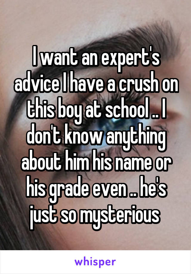 I want an expert's advice I have a crush on this boy at school .. I don't know anything about him his name or his grade even .. he's just so mysterious 