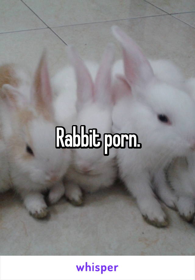 Rabbit porn.