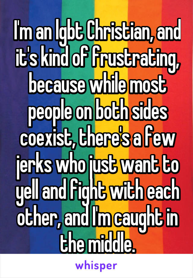 I'm an lgbt Christian, and it's kind of frustrating, because while most people on both sides coexist, there's a few jerks who just want to yell and fight with each other, and I'm caught in the middle.