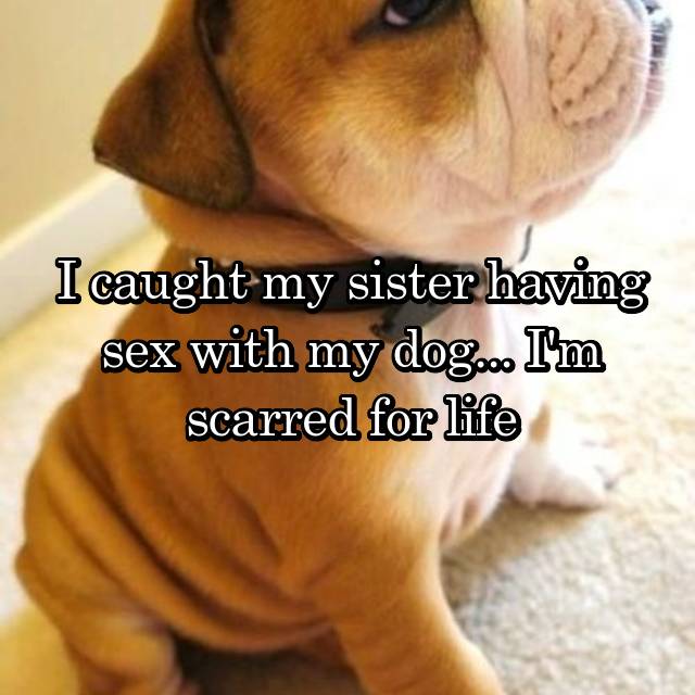 I Caught My Sister Having Sex With My Dog I M Scarred For Life