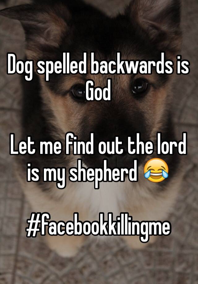 Dog Spelled Backwards Is God Let Me Find Out The Lord Is My Shepherd Facebookkillingme