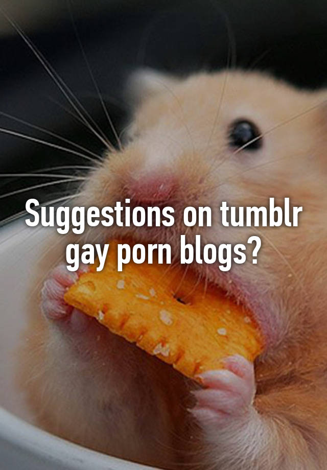Gay Porn Suggestions - Suggestions on tumblr gay porn blogs?