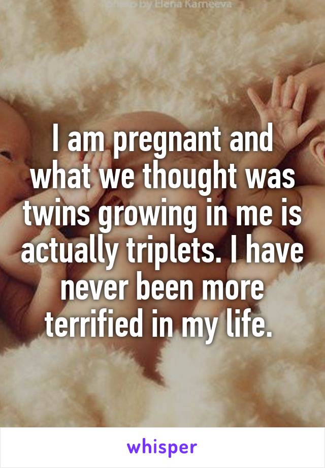 I am pregnant and what we thought was twins growing in me is actually triplets. I have never been more terrified in my life. 