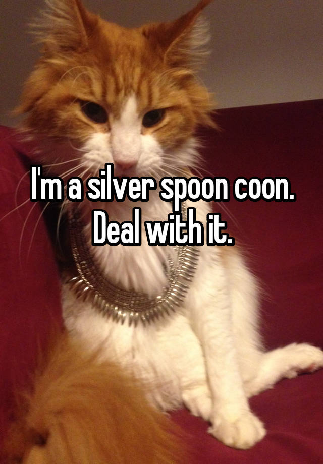 On a spoon coon Words and