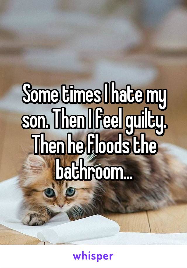 Some times I hate my son. Then I feel guilty. Then he floods the bathroom...