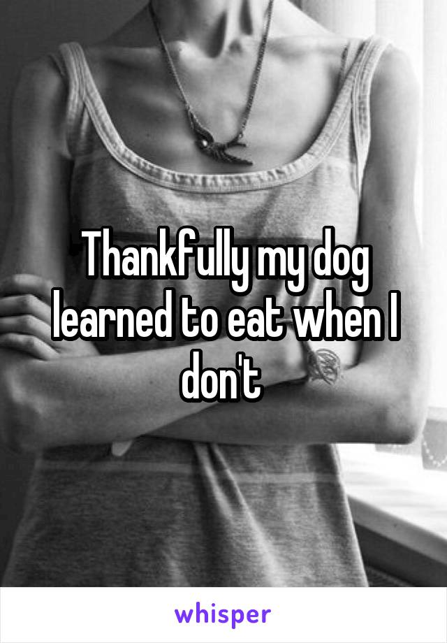 i-stopped-starving-myself-because-my-dog-only-eats-when-i-eat