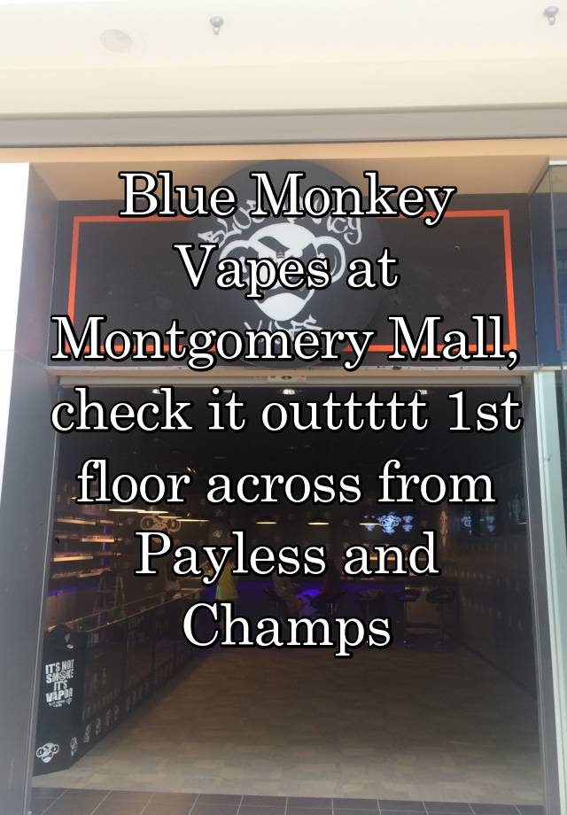 payless montgomery mall