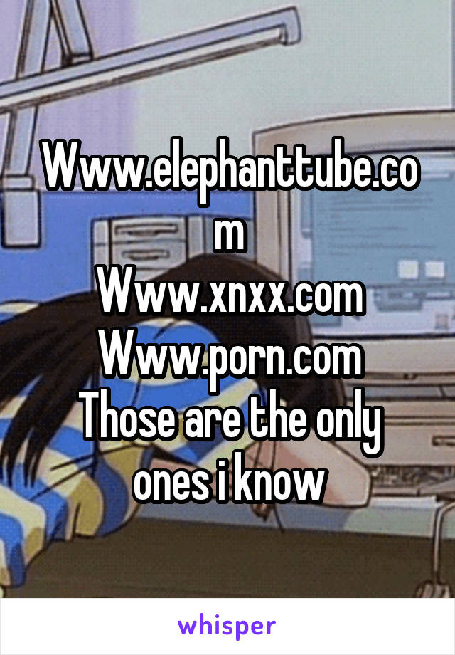 Eliphantub - Www.elephanttube.com Www.xnxx.com Www.porn.com Those are the only ...