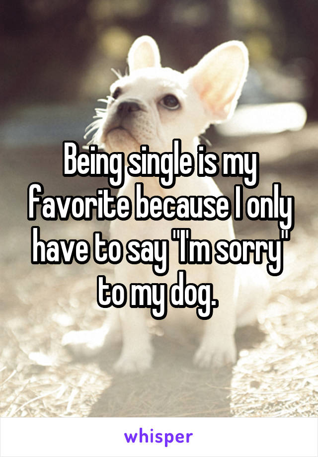 Being single is my favorite because I only have to say "I'm sorry" to my dog. 