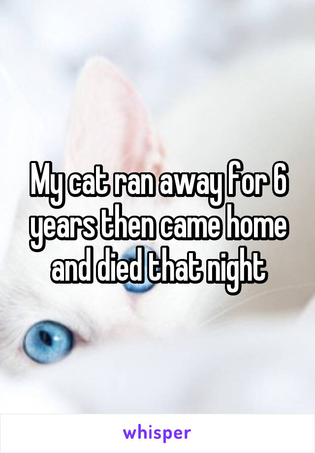 My cat ran away for 6 years then came home and died that night