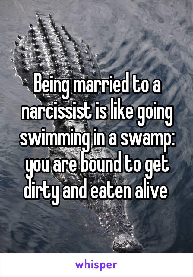 Being married to a narcissist is like going swimming in a swamp: you arebound to get dirty and eaten alive 