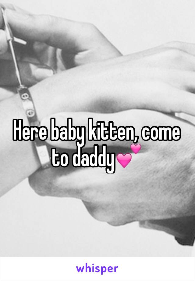 And kitten daddy Do Male