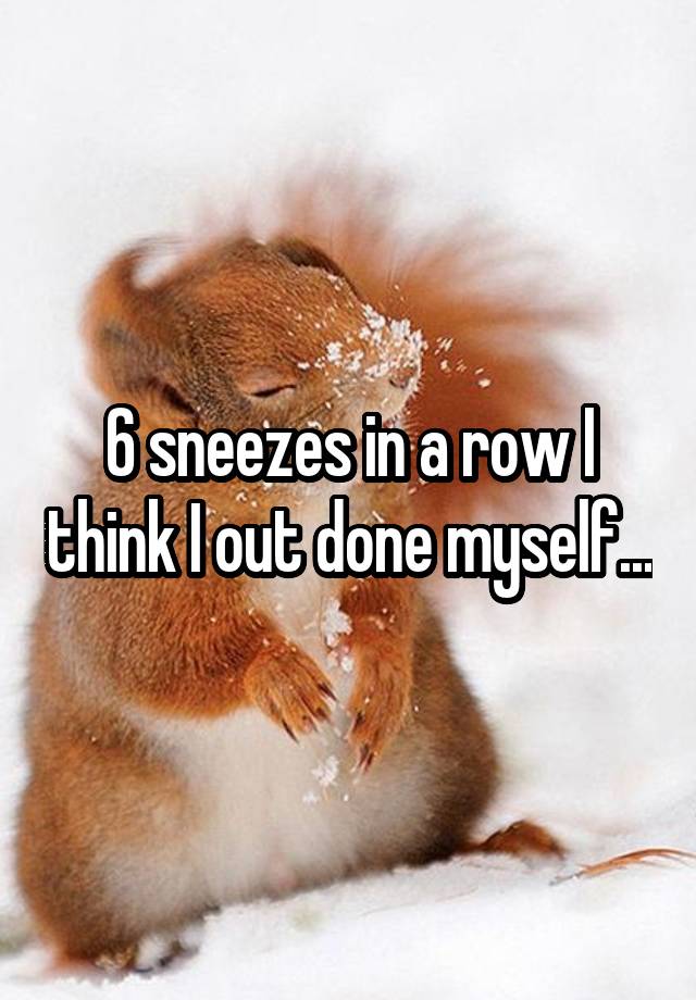 6-sneezes-in-a-row-i-think-i-out-done-myself