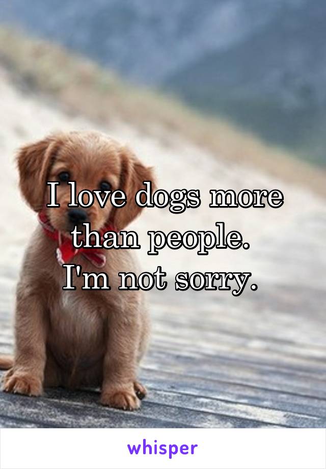 i love dogs more than people