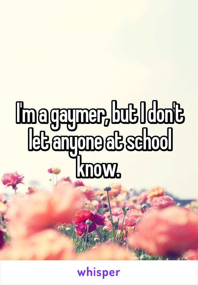 I'm a gaymer, but I don't let anyone at school know. 