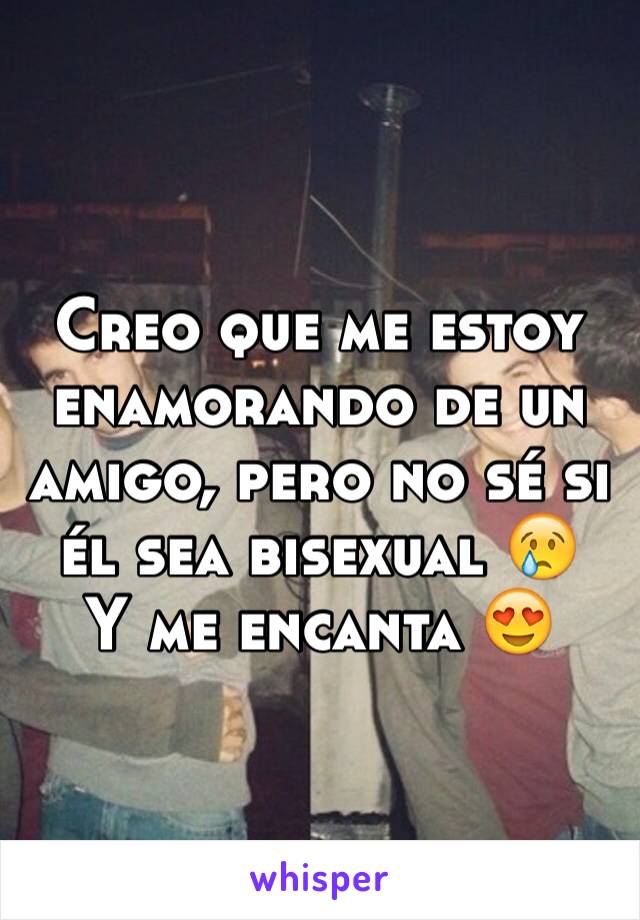 Creo Que Me Estoy Enamorando De Un Amigo Pero No Se Si El Sea Bisexual