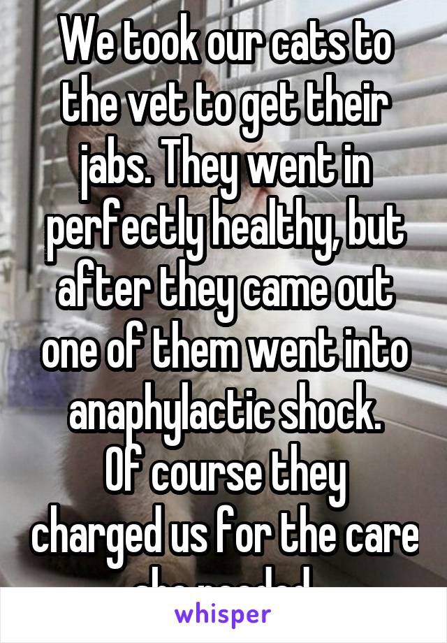 We took our cats to the vet to get their jabs. They went in perfectly healthy, but after they came out one of them went into anaphylactic shock.
Of course they charged us for the care she needed.