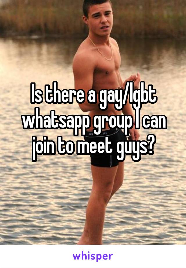 Group gay whatsapp 1500+ WhatsApp