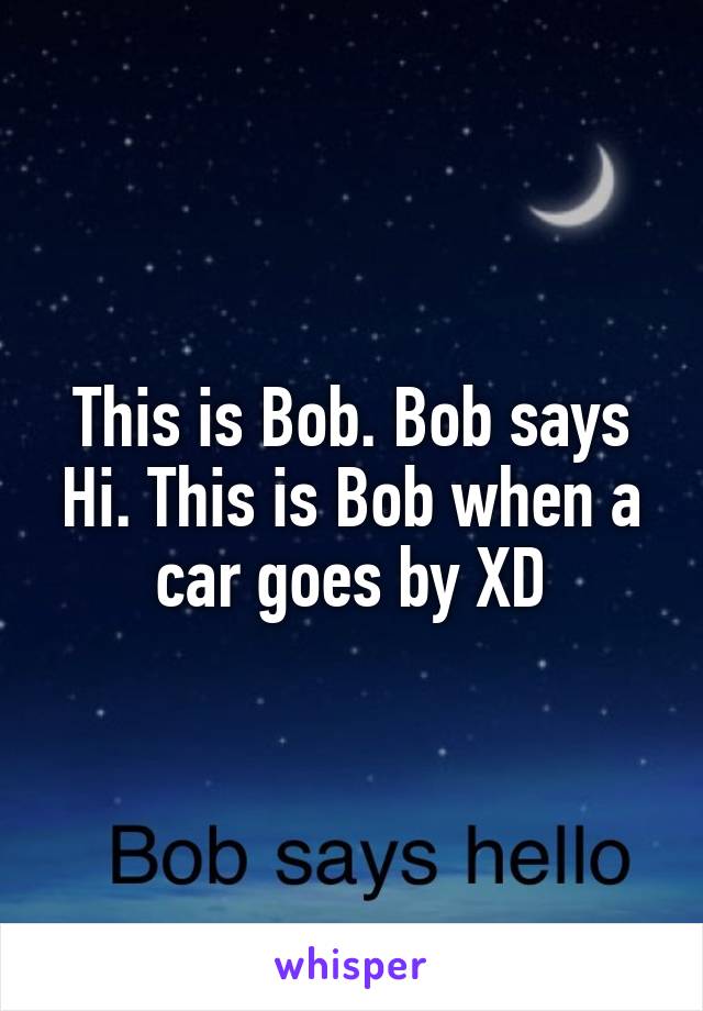 This Is Bob Bob Says Hi This Is Bob When A Car Goes By Xd