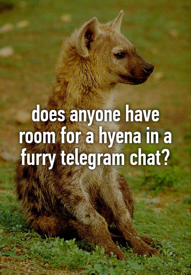 Does Anyone Have Room For A Hyena In A Furry Telegram Chat