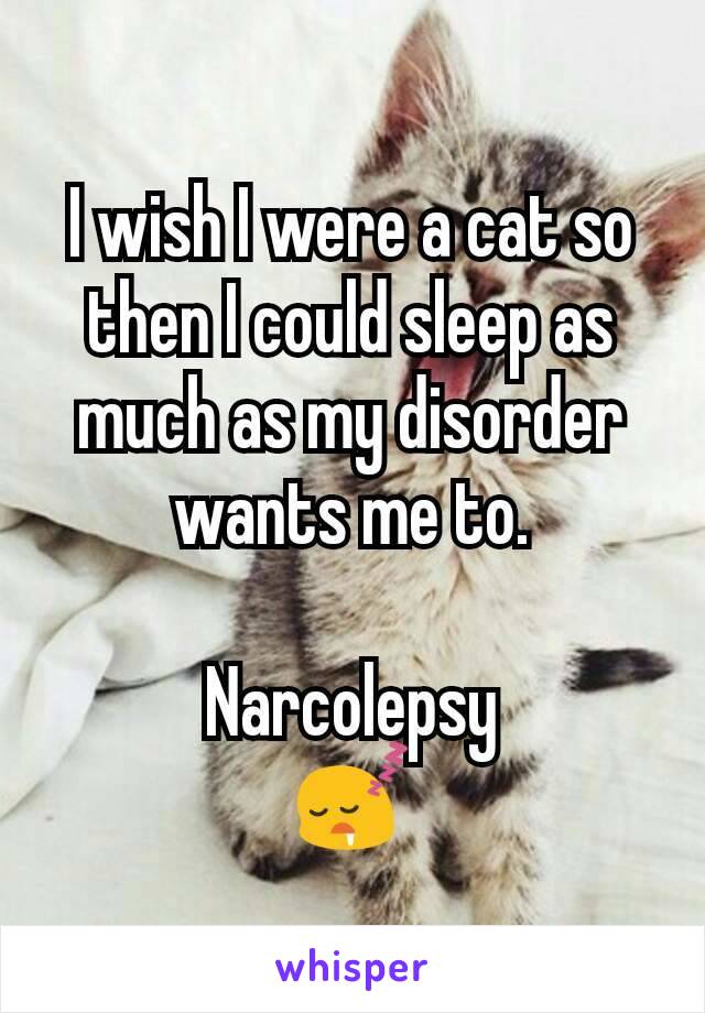 I wish I were a cat so then I could sleep as much as my disorder wants me to.

 Narcolepsy 
😴