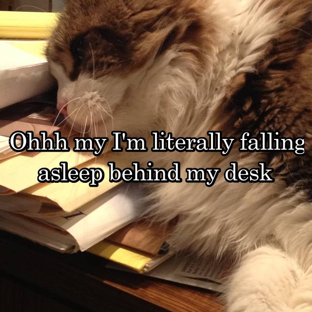 Ohhh My I M Literally Falling Asleep Behind My Desk