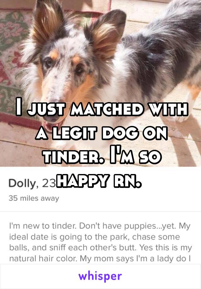 I just matched with a legit dog on tinder. I'm so happy rn. 
