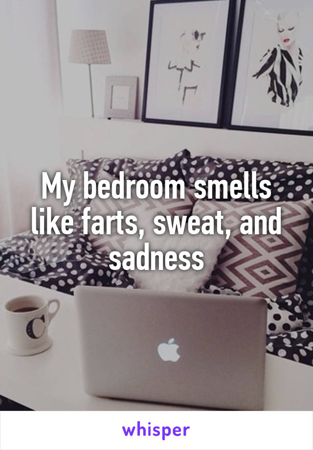 my bedroom smells like farts, sweat, and sadness