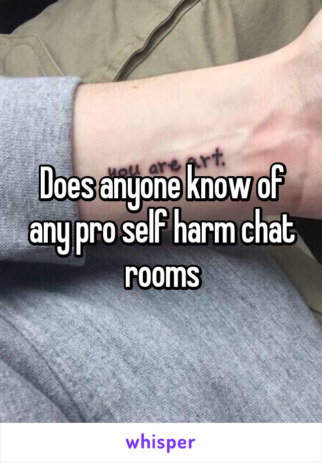 Does Anyone Know Of Any Pro Self Harm Chat Rooms