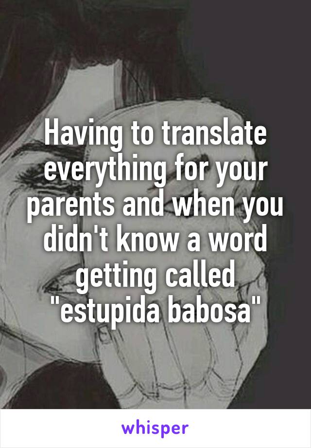 Having to translate everything for your parents and when you didn't know a word getting called "estupida babosa"