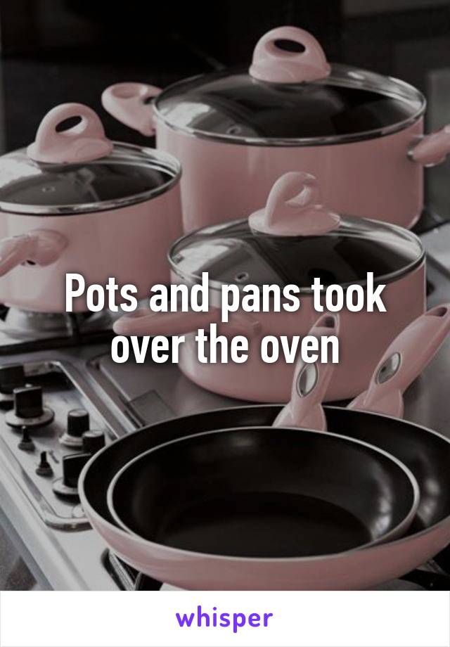 Pots and pans took over the oven