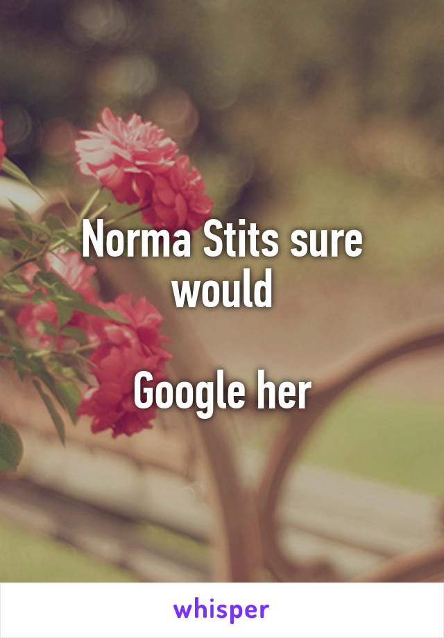 Norma stits