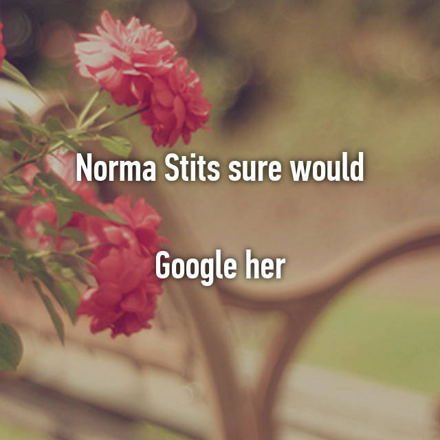 Stits norma Norma Stitz