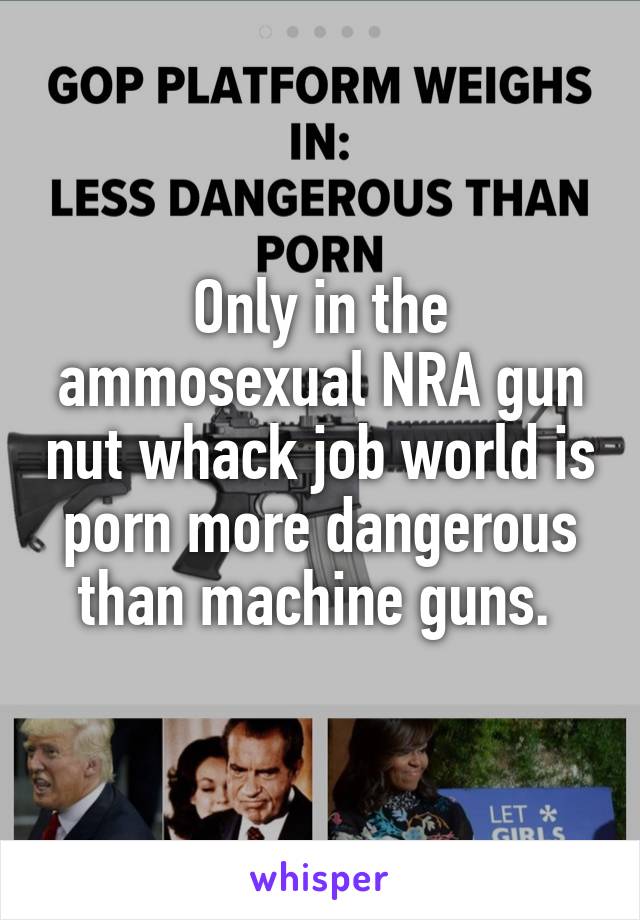 Only in the ammosexual NRA gun nut whack job world is porn ...