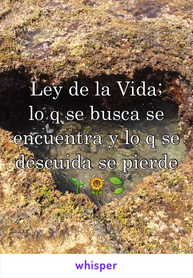 Ley De La Vida Lo Q Se Busca Se Encuentra Y Lo Q Se Descuida Se