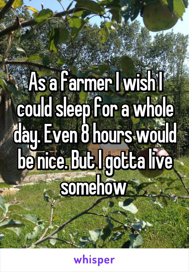 As a farmer I wish I could sleep for a whole day. Even 8 hours would be nice. But I gotta live somehow 